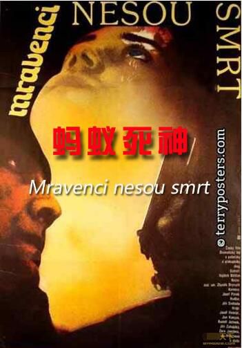 1985捷克電影 螞蟻死神 修復版 國語無字幕 DVD 1985捷克電影 螞蟻死神 修復版 國語無字幕 DVD