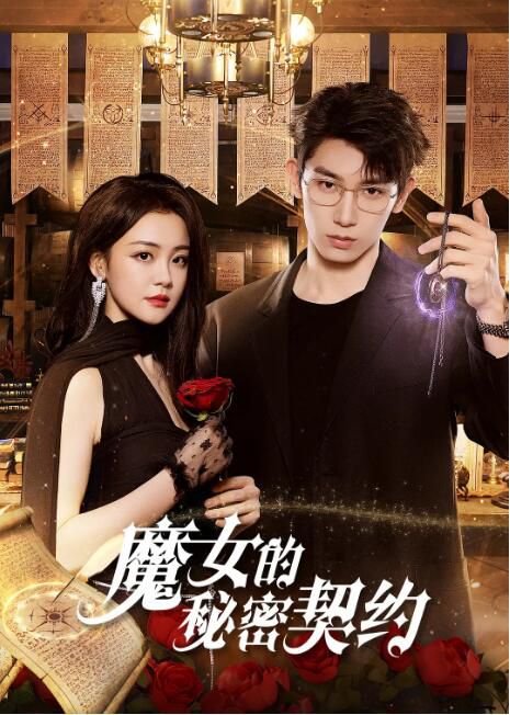 2025大陸劇《魔女的秘密契約》陳芳彤/任運傑 國語中字 盒裝2碟 2025大陸劇《魔女的秘密契約》陳芳彤/任運傑 國語中字 盒裝2碟