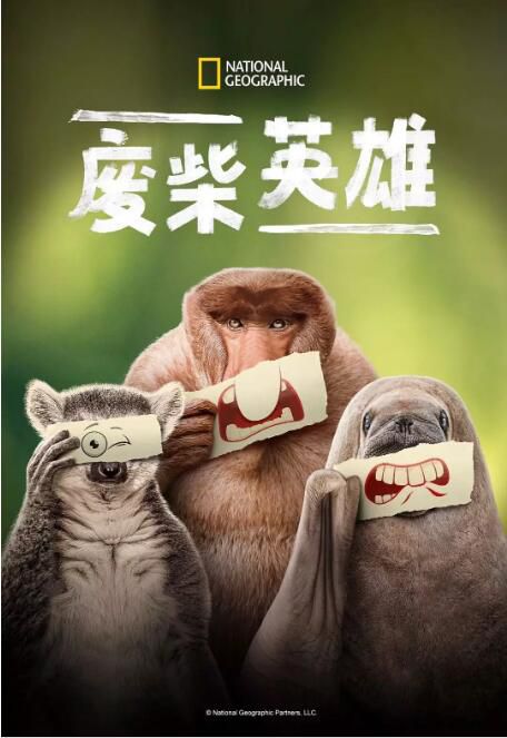 2025美國紀錄片《廢柴英雄/失敗者/弱勢者》瑞安·雷諾茲 英語中字 盒裝1碟