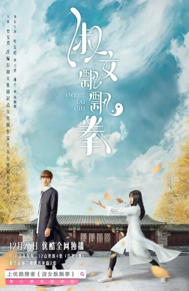 2019大陸劇【淑女飄飄拳】【國語中字】清晰4碟 2019大陸劇【淑女飄飄拳】【國語中字】清晰4碟