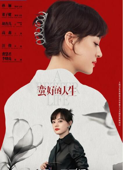 2025大陸劇 蠻好的人生/保險人生【TV全集+幕後花絮】 孫儷/董子健 高清盒裝6碟 2025大陸劇 蠻好的人生/保險人生【TV全集+幕後花絮】 孫儷/董子健 高清盒裝6碟