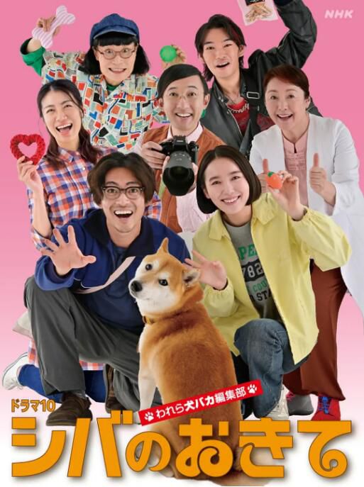 2025日劇 柴犬的規矩～我們這群狗癡編輯部～ 大東駿介 日語中字 盒裝3碟