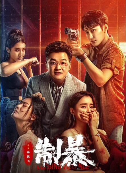 2024大陸電影《製暴/Curbing Violence》蔣璐霞/包貝爾 國語中字 盒裝1碟 2024大陸電影《製暴/Curbing Violence》蔣璐霞/包貝爾 國語中字 盒裝1碟