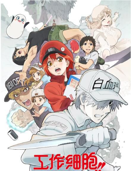 2021四月新番 工作細胞第二季+BLACK篇全集 DVD 2碟 2021四月新番 工作細胞第二季+BLACK篇全集 DVD 2碟