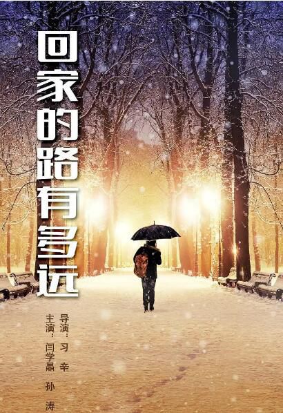 2017大陸劇【回家的路有多遠】【閆學晶 孫濤】清晰8碟 2017大陸劇【回家的路有多遠】【閆學晶 孫濤】清晰8碟