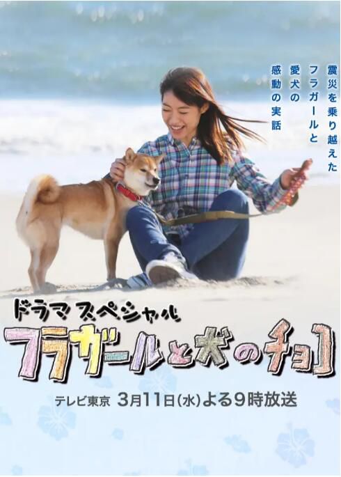 2015日本電影 草裙舞女孩與愛犬可可 瀧本美織 日語中字 2015日本電影 草裙舞女孩與愛犬可可 瀧本美織 日語中字