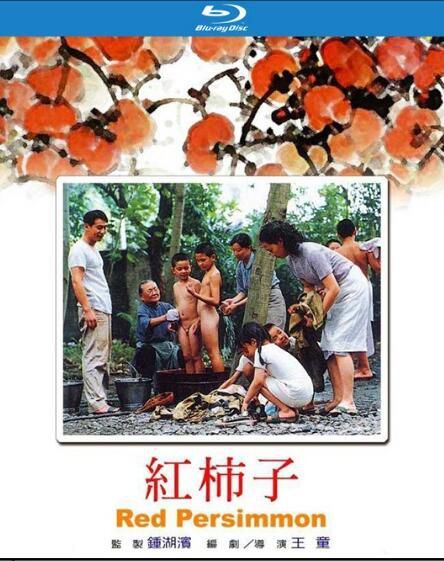 1996台灣電影 紅柿子 陶述/石雋/張世 