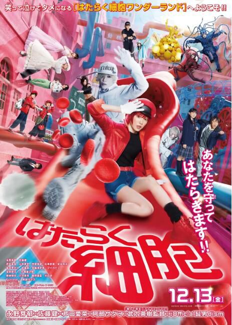 2024高分日本電影 工作細胞 真人版/Cells at Work 永野芽郁 日語中字 盒裝1碟