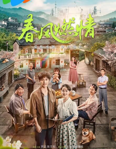 2025大陸劇《春風燃情》羅正/陳芳彤 國語中字 盒裝4碟