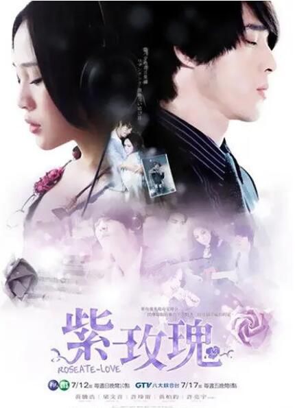 2009台劇《紫玫瑰》梁文音/黃騰浩 國語中字 盒裝7碟