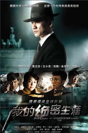 2014大陸劇 我的絕密生涯 黃誌忠/左小青 國語中字 盒裝6碟