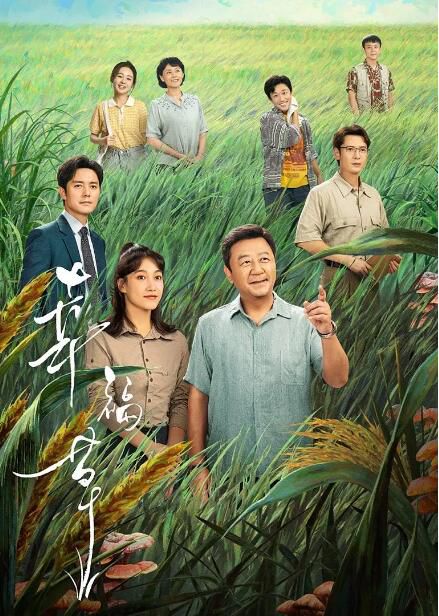 2024大陸劇《幸福草/ Happiness Juncao》郭濤/啜妮 國語中字 盒裝4碟 2024大陸劇《幸福草/ Happiness Juncao》郭濤/啜妮 國語中字 盒裝4碟