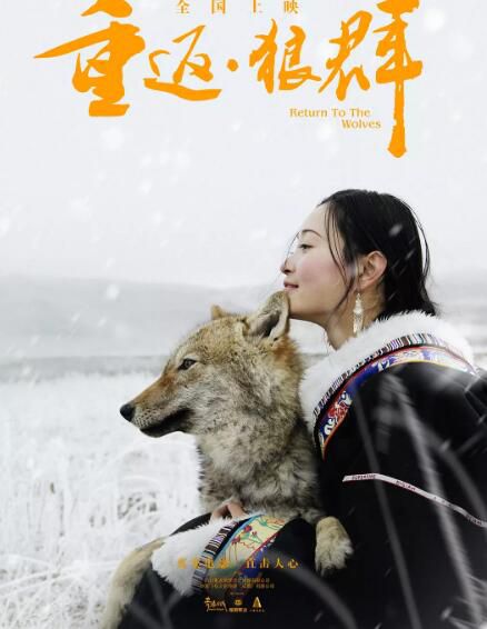 2017紀錄片【重返·狼群/重返狼群】【李微漪】國語中字