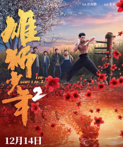 2024高分大陸動畫電影 雄獅少年2/I Am What I Am 2 國語中字 盒裝1碟