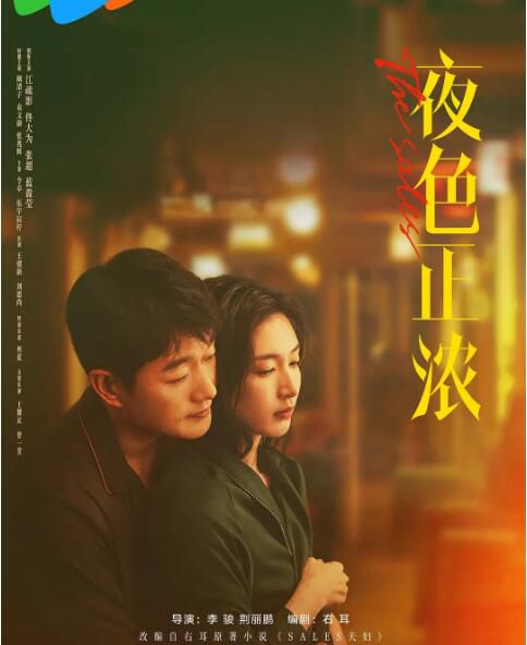 2026大陸劇 夜色正濃/精英夫妻【TV全集+幕後花絮】江疏影/佟大為 高清盒裝5碟