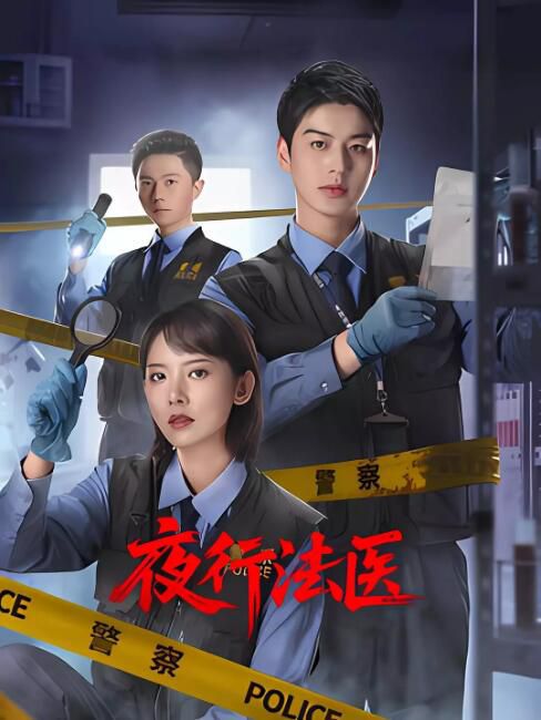 2025大陸劇 夜行法醫 艾泓辰/魏曉璇 國語中字 盒裝2碟