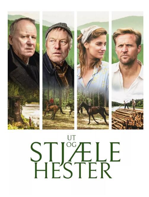 2019高分挪威瑞典電影《外出偷馬/Out Stealing Horses》英語中英雙字 盒裝1碟