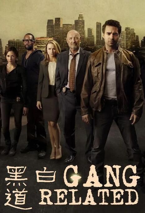 2014美劇 黑白道/黑白無間道/Gang Related 姜成鎬 英語中字 4碟