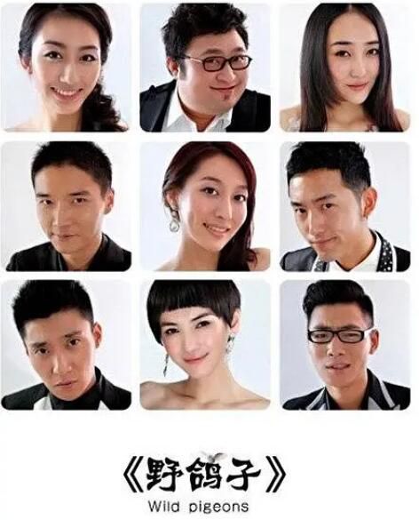 2012大陸劇《野鴿子/野鴨子2》董維嘉/鄭奇 國語中字 6碟 2012大陸劇《野鴿子/野鴨子2》董維嘉/鄭奇 國語中字 6碟