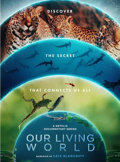 2024英國紀錄片《我們的生物世界/我們生活的世界/Our Living World》全4集 英語中字 盒裝1碟 2024英國紀錄片《我們的生物世界/我們生活的世界/Our Living World》全4集 英語中字 盒裝1碟
