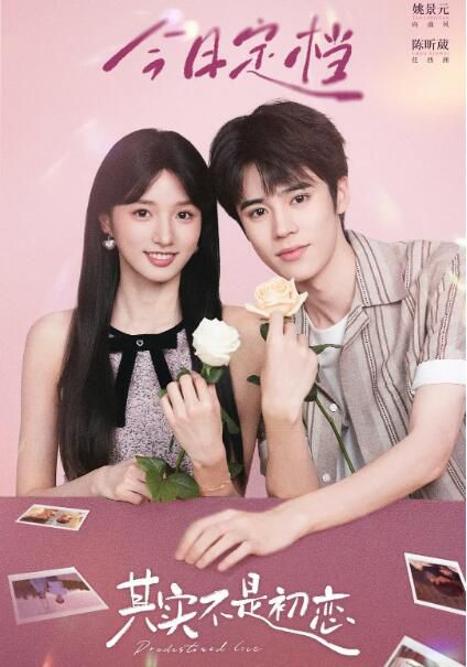 2026大陸劇 其實不是初戀/蟄伏 姚景元/陳昕葳 國語中字 盒裝2碟