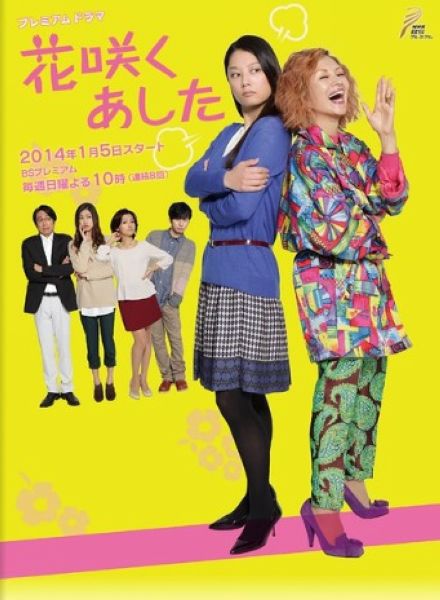 2014日劇 花開明日 小池榮子 日語中字 盒裝2碟 2014日劇 花開明日 小池榮子 日語中字 盒裝2碟