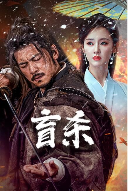 2025大陸電影《盲殺》王輝/李恰 國語中字 盒裝1碟