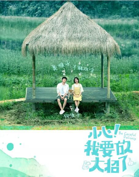 大陸劇【小心!我要放大招了】【國語中字】2碟 大陸劇【小心!我要放大招了】【國語中字】2碟
