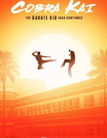 2018高分美劇 眼鏡蛇/Cobra Kai 第一季 英語中字 盒裝2碟 2018高分美劇 眼鏡蛇/Cobra Kai 第一季 英語中字 盒裝2碟