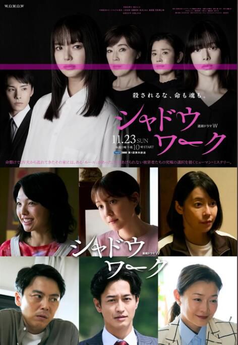 2025日劇《影子工作/Shadow Work》多部未華子 日語中字 盒裝2碟