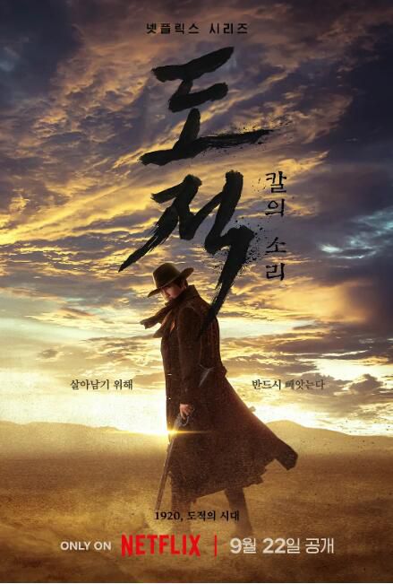 2023韓劇 盜賊之歌/盜賊:刀之聲/盜賊:刀的聲音 金南佶/徐賢 高清盒裝4碟 2023韓劇 盜賊之歌/盜賊:刀之聲/盜賊:刀的聲音 金南佶/徐賢 高清盒裝4碟