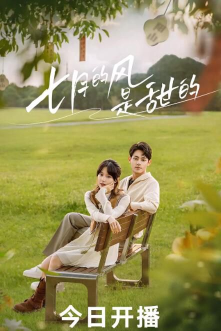 2025大陸劇《七月的風是甜的》成果/包涵 國語中字 盒裝1碟