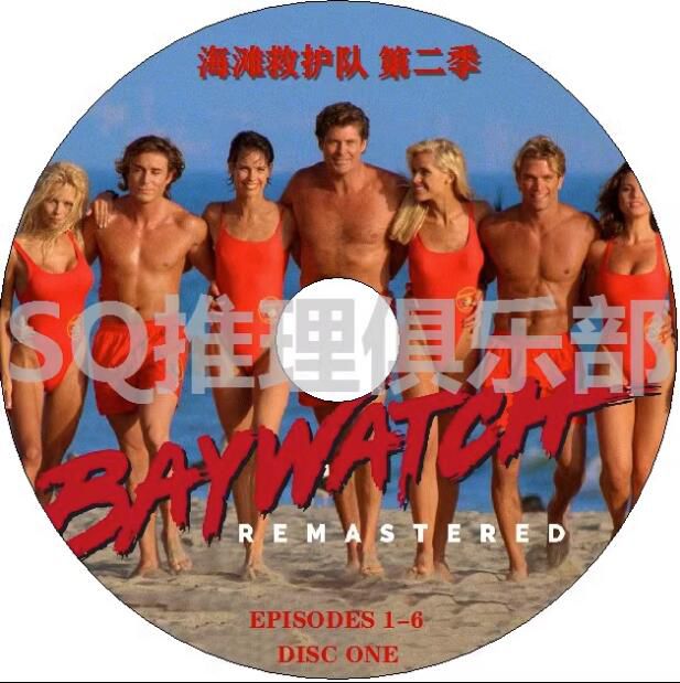 1989美劇DVD:海灘救護隊/海岸救生隊/海魂/護灘使者 1-2季【國語】8碟 1989美劇DVD:海灘救護隊/海岸救生隊/海魂/護灘使者 1-2季【國語】8碟
