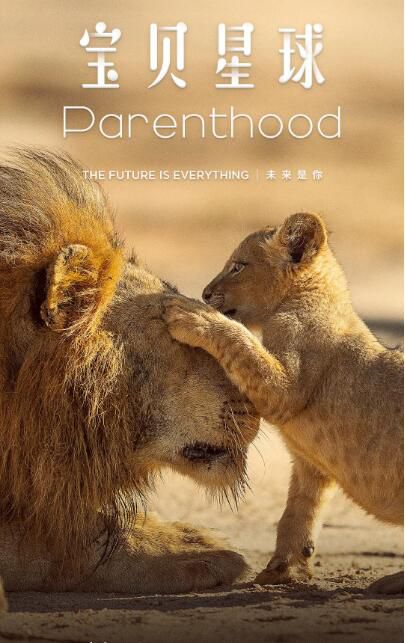 2025英國紀錄片 寶貝星球 Parenthood 大衛·愛登堡 英語中字 盒裝1碟 2025英國紀錄片 寶貝星球 Parenthood 大衛·愛登堡 英語中字 盒裝1碟