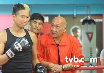 2015港劇 潮拜武當 錢小豪/楊怡 國語中字 盒裝4碟 2015港劇 潮拜武當 錢小豪/楊怡 國語中字 盒裝4碟