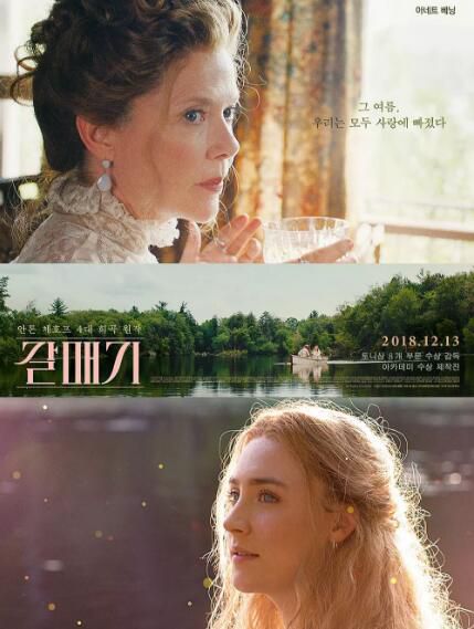 2018電影 海鷗 The Seagull 高清盒裝DVD 2018電影 海鷗 The Seagull 高清盒裝DVD