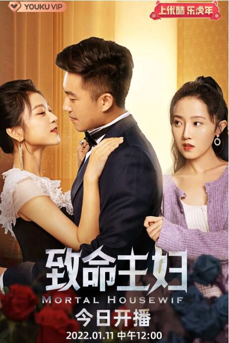 2022大陸劇【致命主婦/主婦的逆襲】【孫語涵/陶醉】【國語中字】1碟 2022大陸劇【致命主婦/主婦的逆襲】【孫語涵/陶醉】【國語中字】1碟