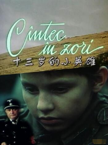 1988戰爭電影 十三歲的小英雄 國語無字幕 懷舊錄像版 二戰/山之戰/間諜戰/ DVD