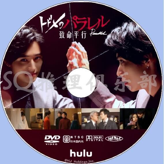 2018新犯罪懸疑網絡劇DVD【致命平行 全10回】【山崎賢人/門脅麥】2碟