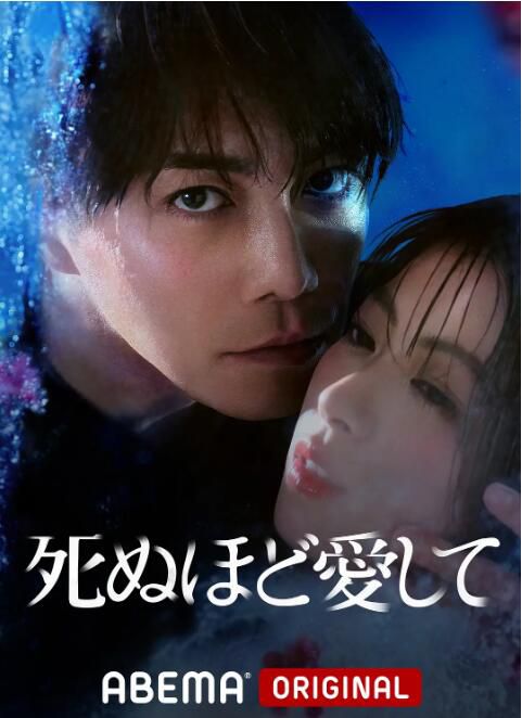 2025日劇《愛你至死》成宮寬貴/瀧本美織 日語中字 盒裝2碟 2025日劇《愛你至死》成宮寬貴/瀧本美織 日語中字 盒裝2碟