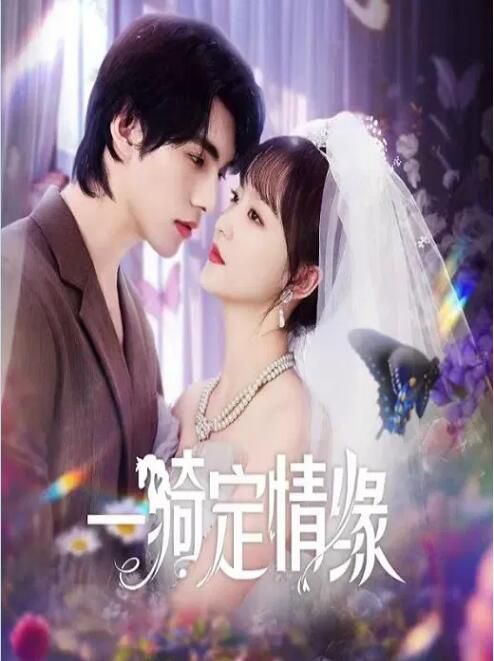 2025大陸劇《一騎定情緣》文淵/王歆霆 國語中字 盒裝2碟