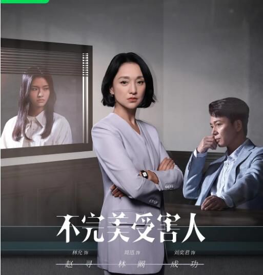 2023大陸劇 不完美受害人/Imperfect Victim 周迅/劉奕君 高清盒裝5碟