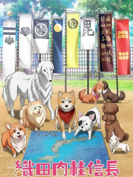2020四月新番動漫 織田肉桂信長 DVD 2碟 2020四月新番動漫 織田肉桂信長 DVD 2碟