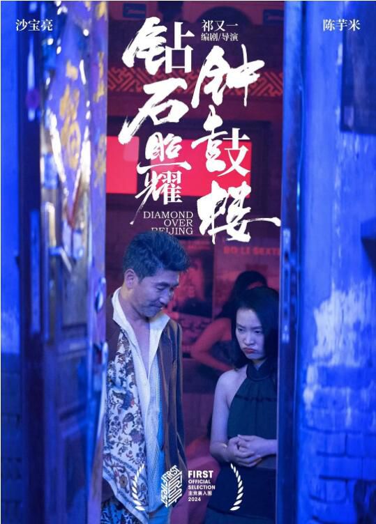 2024大陸電影《鉆石照耀鐘鼓樓》沙寶亮/陳芋米 國語中字 盒裝1碟