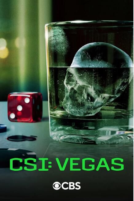2024美劇 犯罪現場調查:維加斯 第三季 CSI: Vegas 寶拉·紐瑟姆 英語中字 盒裝1碟 2024美劇 犯罪現場調查:維加斯 第三季 CSI: Vegas 寶拉·紐瑟姆 英語中字 盒裝1碟
