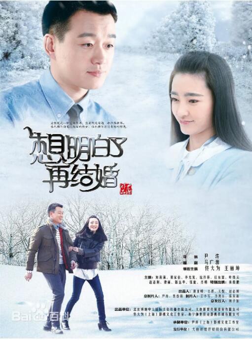 2015大陸劇 想明白了再結婚 佟大為/王麗坤 國語中字 8碟 2015大陸劇 想明白了再結婚 佟大為/王麗坤 國語中字 8碟