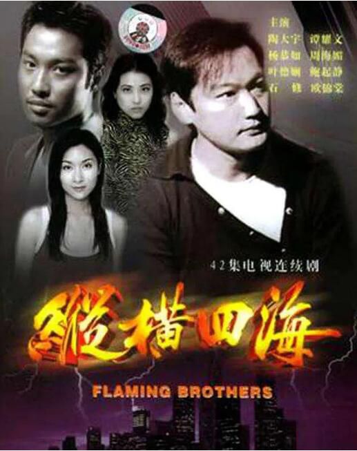 1999港劇 縱橫四海 陶大宇/楊恭如 國語中字 盒裝8碟