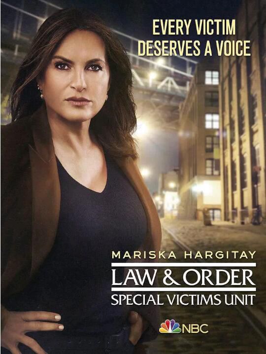 2020新美國罪案劇DVD：法律與秩序 特殊受害者 第二十二季 第22季 2碟