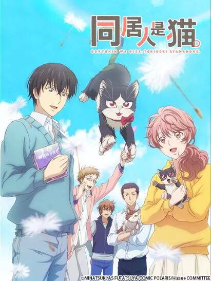 動畫 同居人時而在腿上、時而跑到腦袋上(同居人是貓)DVD 2碟 動畫 同居人時而在腿上、時而跑到腦袋上(同居人是貓)DVD 2碟
