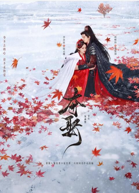 2025大陸劇 奪娶 李沐宸/周峻緯 高清盒裝5碟 2025大陸劇 奪娶 李沐宸/周峻緯 高清盒裝5碟